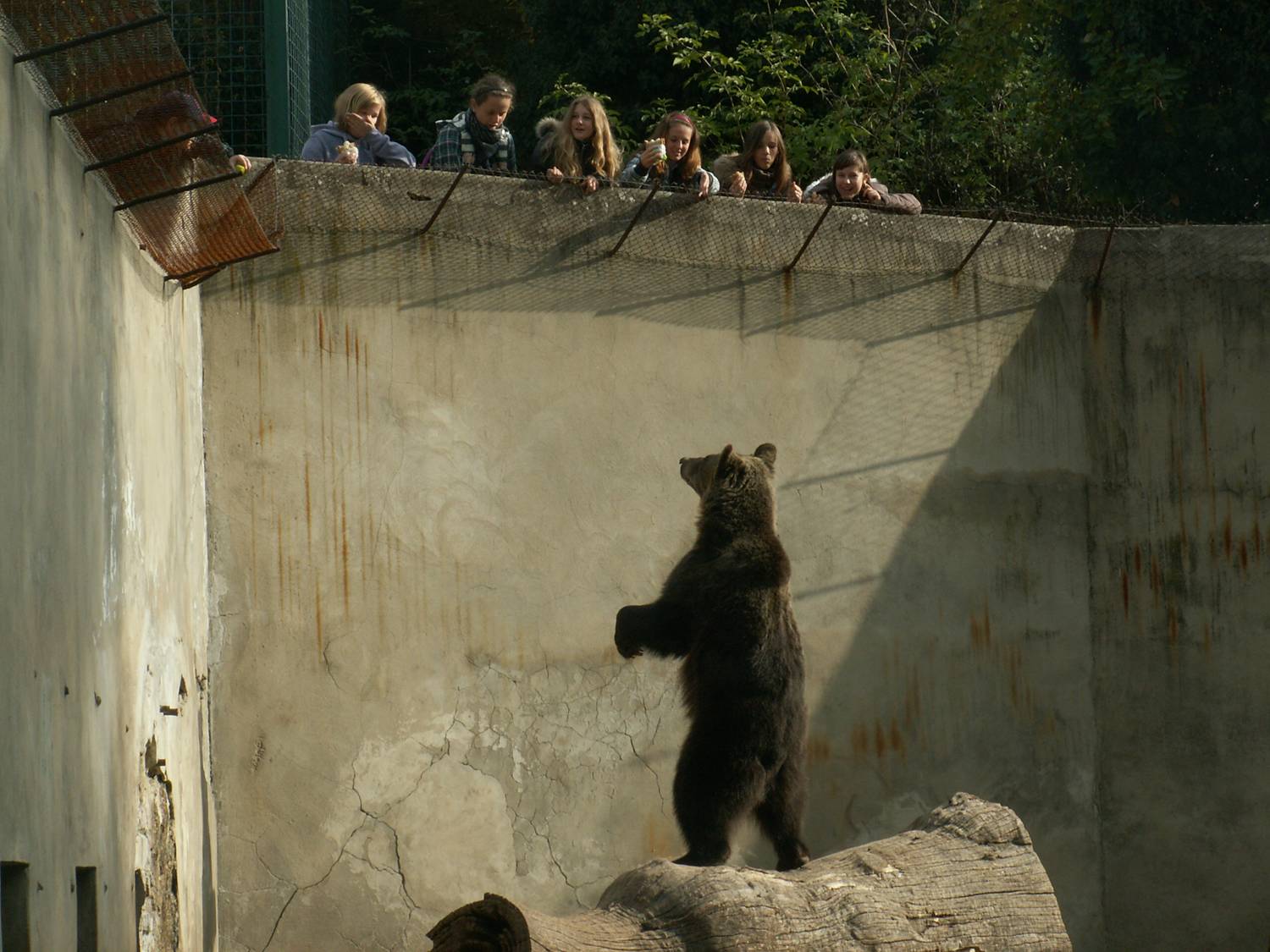 Fotogaléria Prírodovedecký krúžok v ZOO Bojnice (6) Prírodovedecký krúžok v ZOO Bojnice