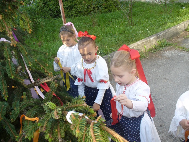 Fotogaléria Stavanie mája 2014 (53) Stavanie mája 2014