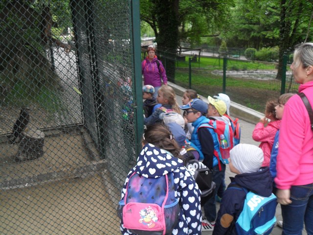 Fotogaléria MŠ - ZOO (12) MŠ - ZOO