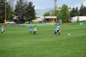 11. kolo - 06.05.2017 11. kolo - 06.05.2017
