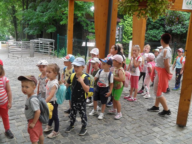 Fotogaléria MŠ - Škôlkári v ZOO (9) MŠ - Škôlkári v ZOO